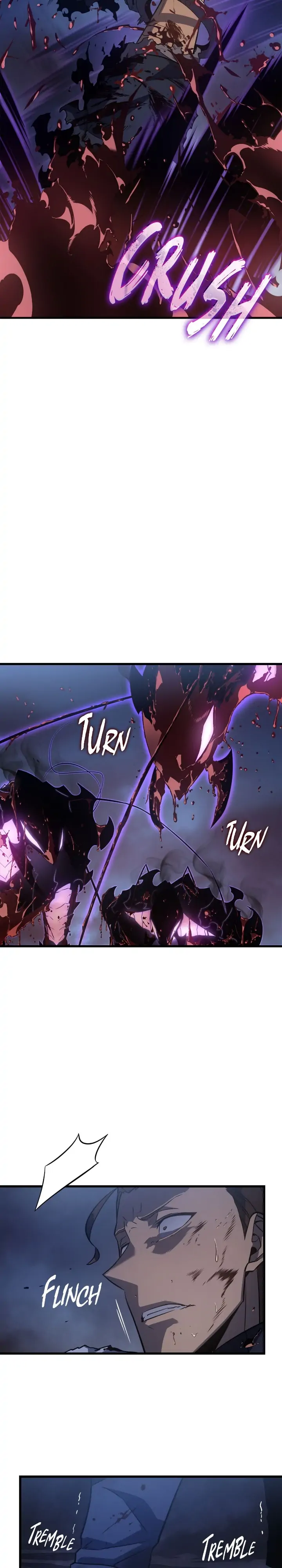 Solo Leveling Manga (31)